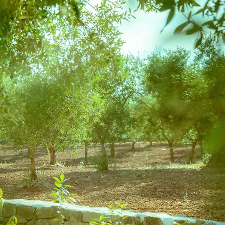 I Trulli Di Anna Bed & Breakfast 4*